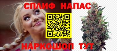 дмт Будённовск