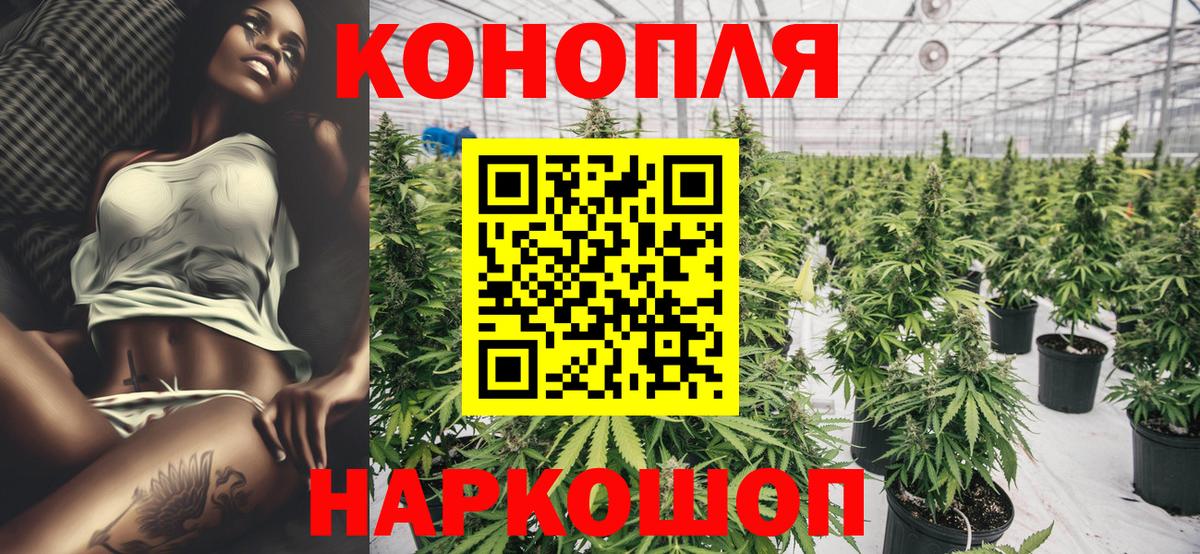 Кувандык  Марихуана AK-47  Канабис Bruce Banner  Вход с VPN  Бошки Шишки ГИДРОПОН 